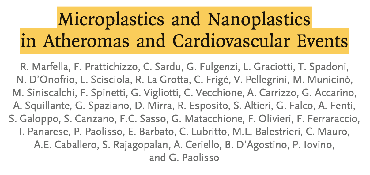 Microplastics and nanoplastics in arteries