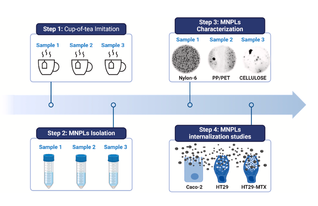 science process of measuring how much microplastics came from teabags