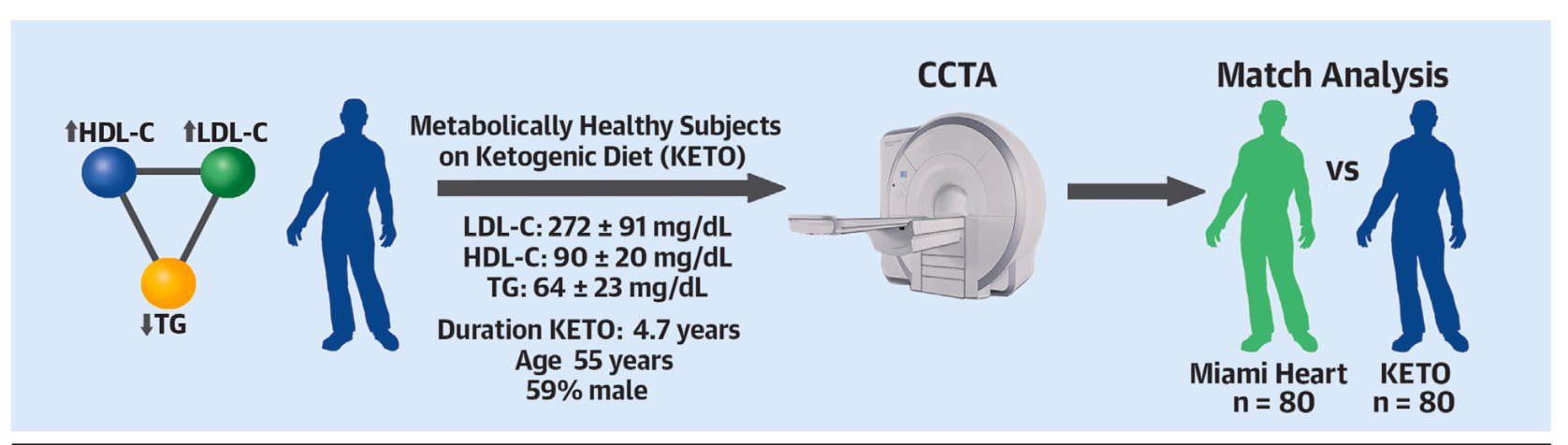 Participants had high LDL, high HDL and low triglycerides 